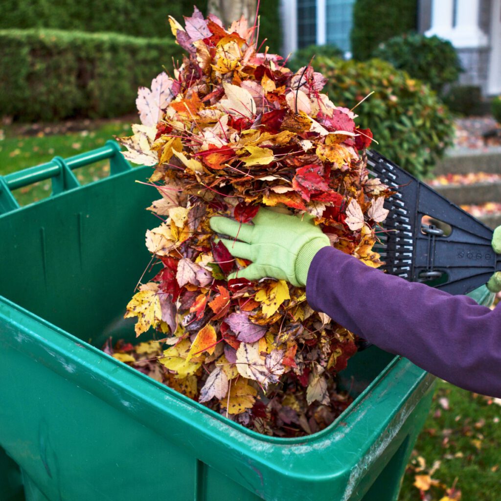 autumn backyard maintenance company in lancaster county