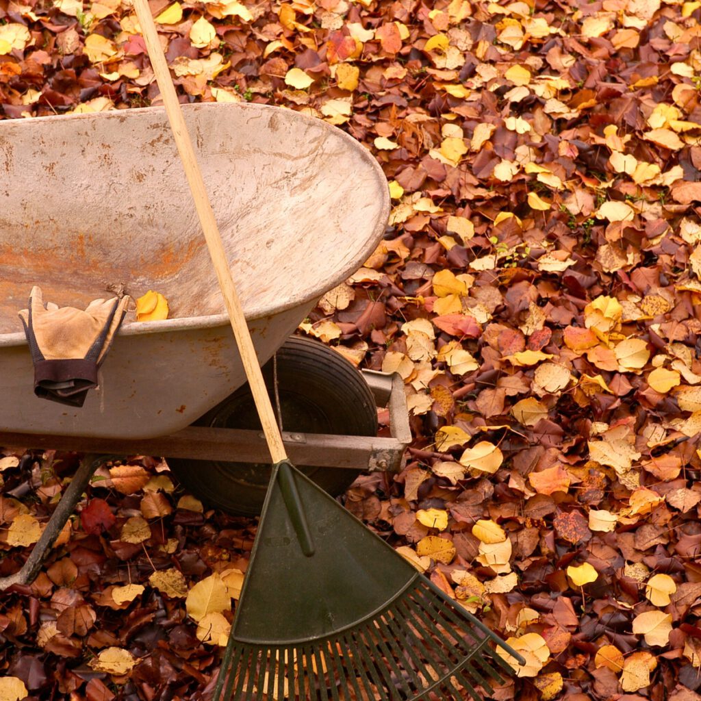 fall clean up services in lancaster pa