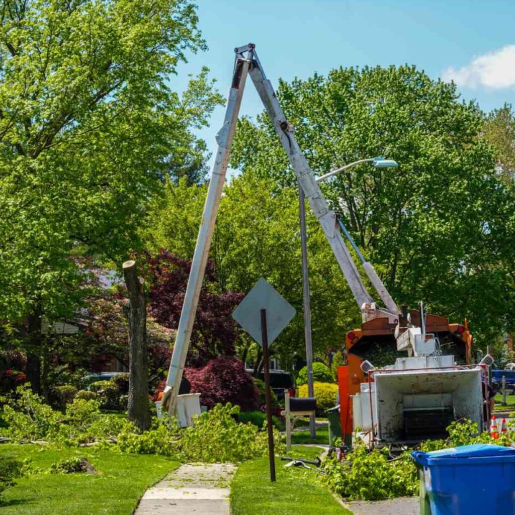 tree cutting service lancaster pa